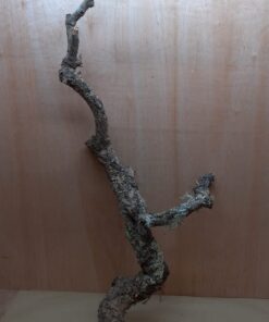 Large Cork Branch - 80-110cm - 6