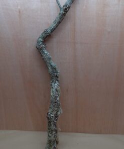 Large Cork Branch - 80-110cm - 9