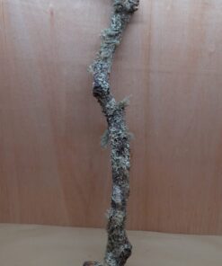 Large Cork Branch - 80-110cm - 10