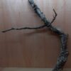 Large Cork Branch - 80-110cm - 11