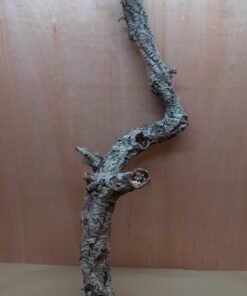Large Cork Branch - 80-110cm - 12