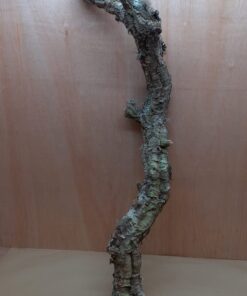 Large Cork Branch - 80-110cm - 13