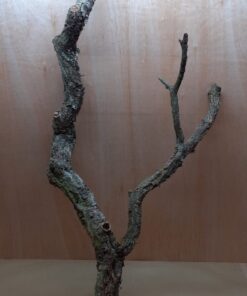 Large Cork Branch - 80-110cm - 14