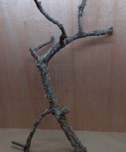 Large Cork Branch - 80-110cm - 16