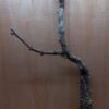 Large Cork Branch - 80-110cm - 17
