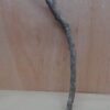 Medium Cork Branch - 40-80cm - 1
