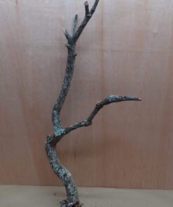 Medium Cork Branch - 40-80cm - 21