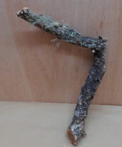 Small Cork Branch - Upto 40cm - 16