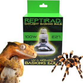 ReptiRad Daylight Basking Bulb