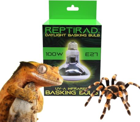 ReptiRad Daylight Basking Bulb