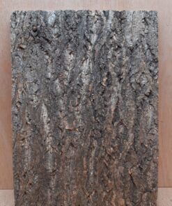 Cork Bark Background Panel 30x45cm - 10
