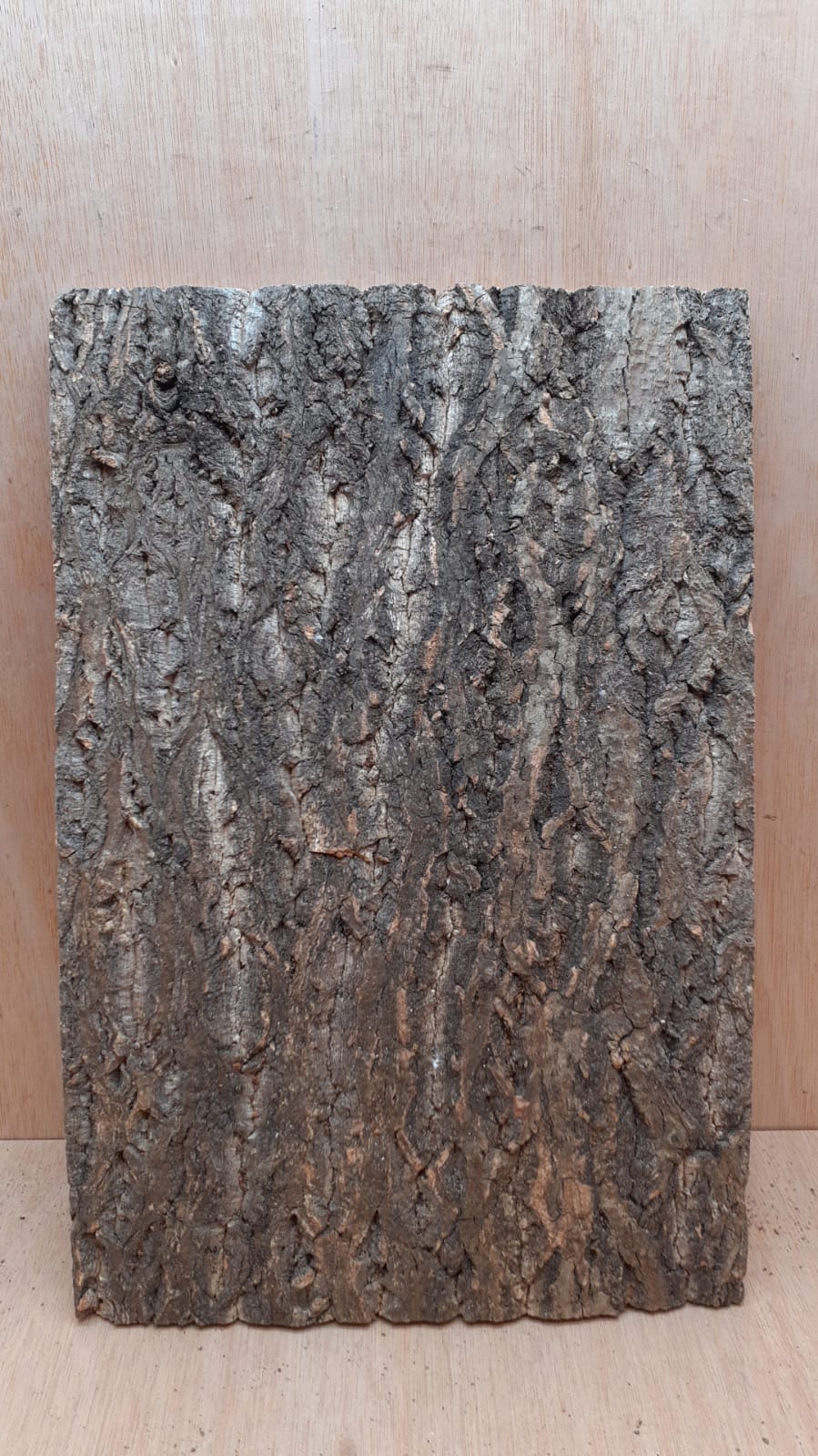 Cork Bark Background Panel 30x45cm - 10