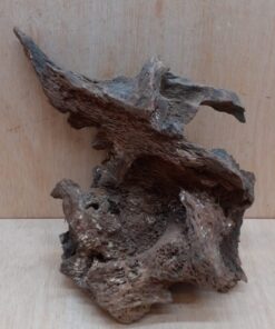 Driftwood - Large 15