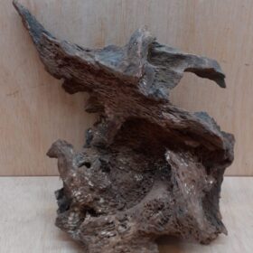 Driftwood - Large 15