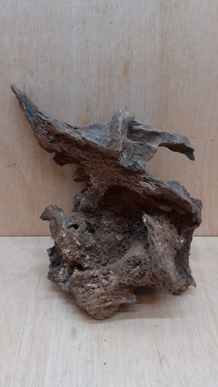 Driftwood - Large 15