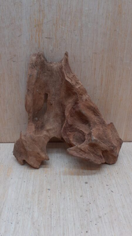 Driftwood - Small 2