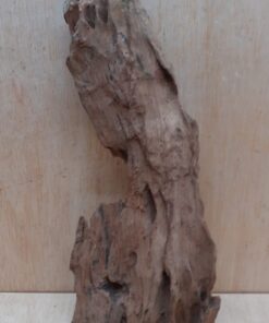 Driftwood - Large 2