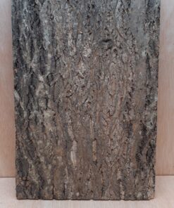 Cork Bark Background Panel 30x45cm - 3