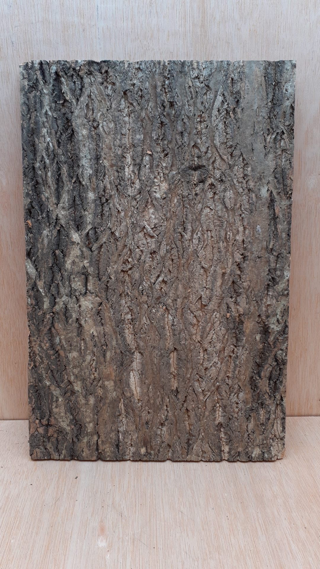 Cork Bark Background Panel 30x45cm - 3