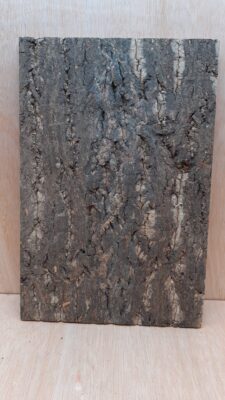 Cork Bark Background Panel 30x45cm - 4