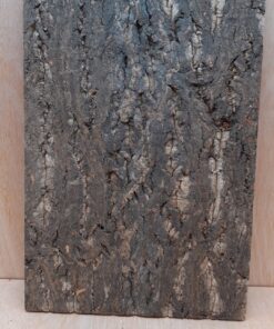 Cork Bark Background Panel 30x45cm - 4
