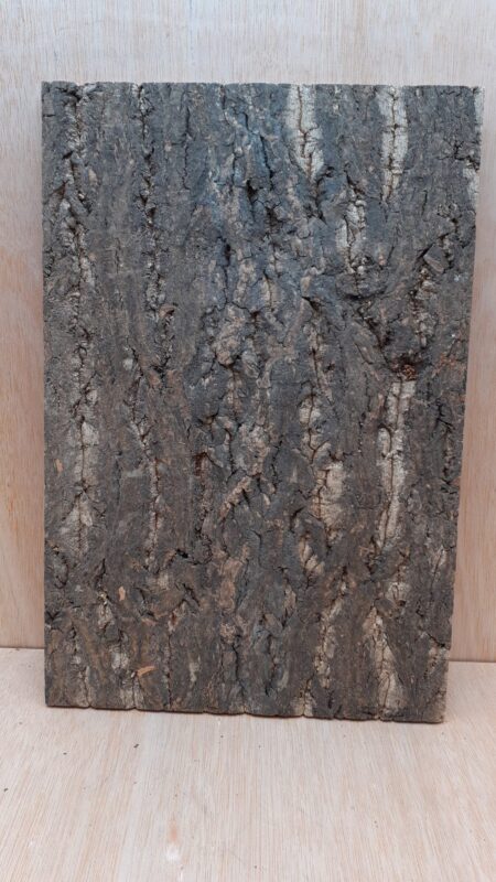 Cork Bark Background Panel 30x45cm - 4
