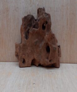 Driftwood - Small 6
