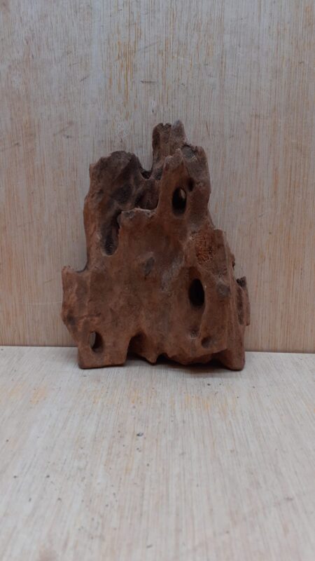 Driftwood - Small 6