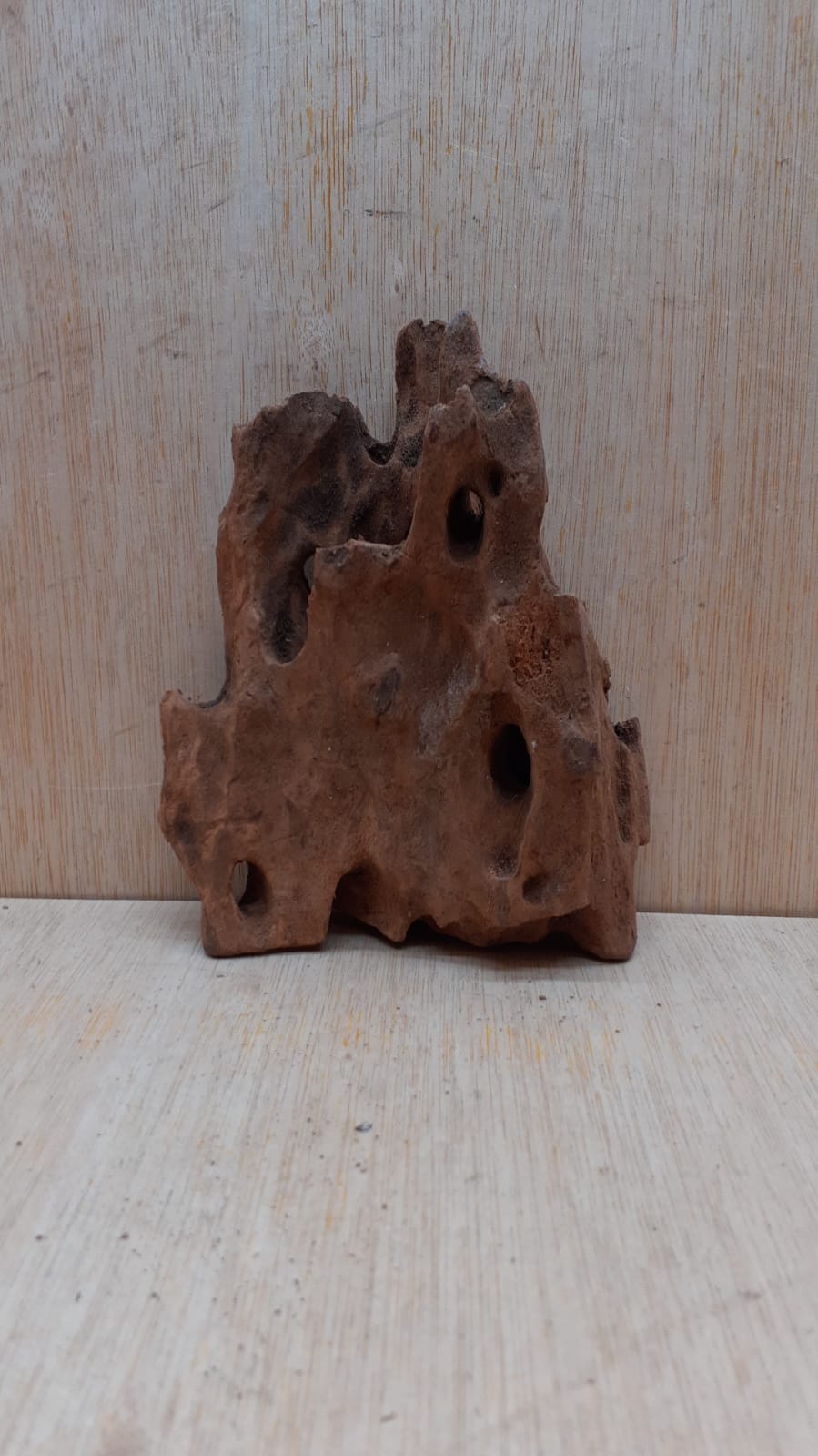Driftwood - Small 6