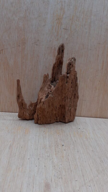 Driftwood - Small 7