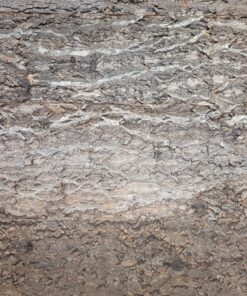 Cork Background Panels 30x45cm