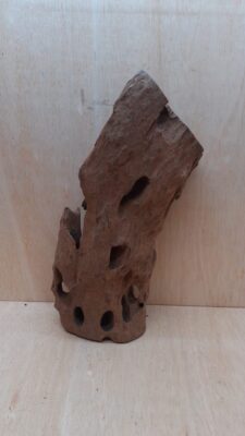 Driftwood - XL 1