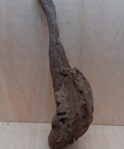 Driftwood - XL 2