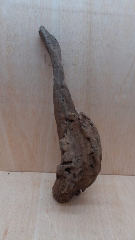 Driftwood - XL 2