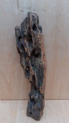 Driftwood - Large 4