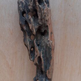Driftwood - Large 4