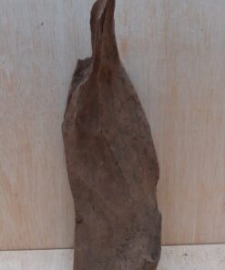 Driftwood - Large 10