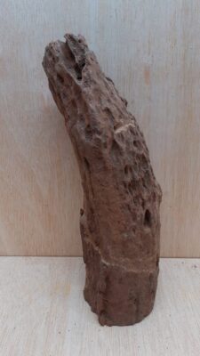 Driftwood - Medium 5