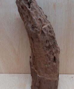 Driftwood - Medium 5