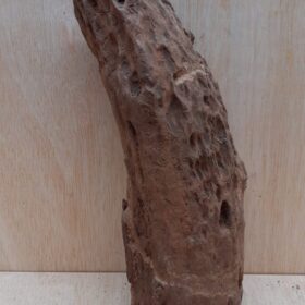 Driftwood - Medium 5