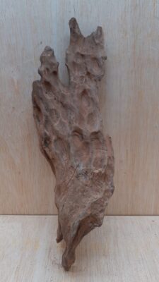 Driftwood - Medium 12