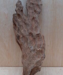 Driftwood - Medium 12