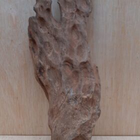 Driftwood - Medium 12