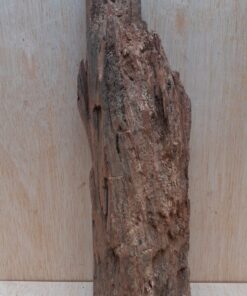 Driftwood - Medium 14