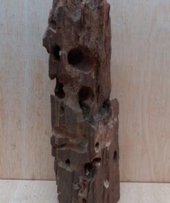 Driftwood - Large 12