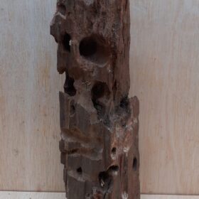 Driftwood - Large 12
