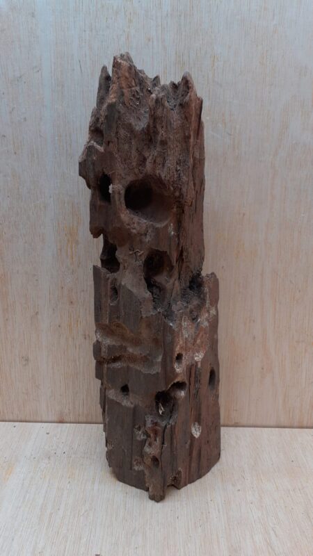 Driftwood - Large 12