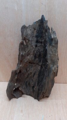 Driftwood - Large 16