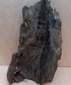 Driftwood - Large 16