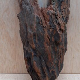 Driftwood - Small 1
